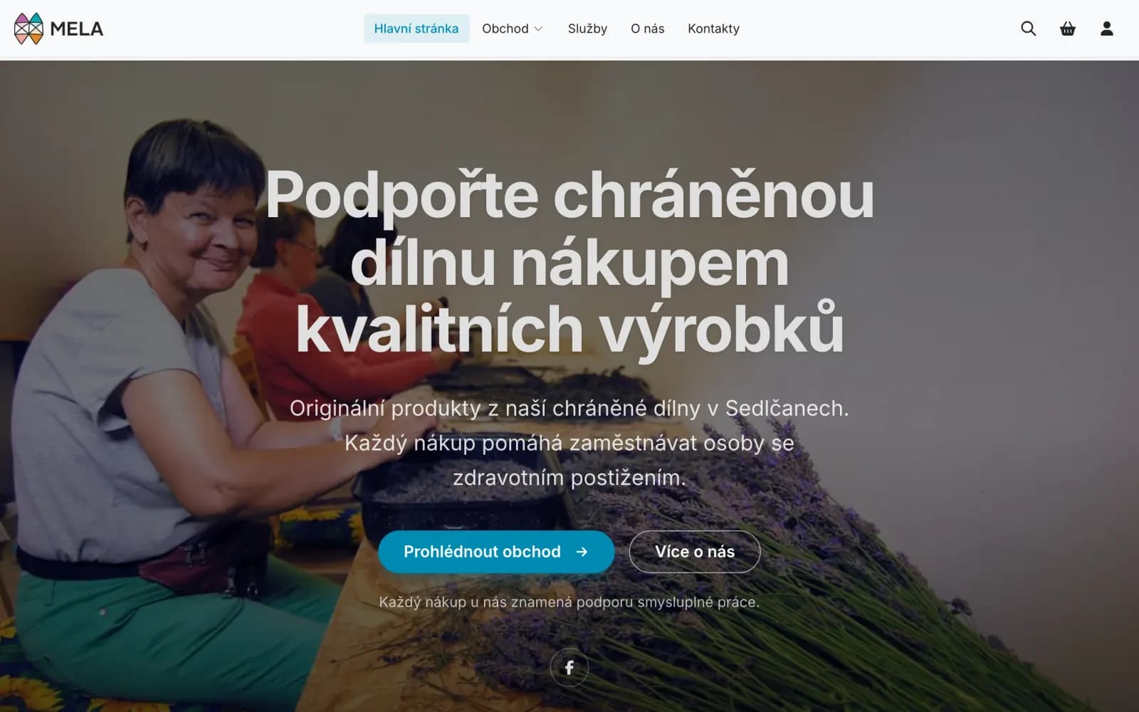 Náhled webu Chráněná dílna Mela